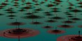 /album/abstraktni-3d-grafika/a3d-abstaction-of-circles-on-liquid-surface-jpg/